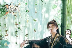 精彩图片集锦：视觉盛宴一览