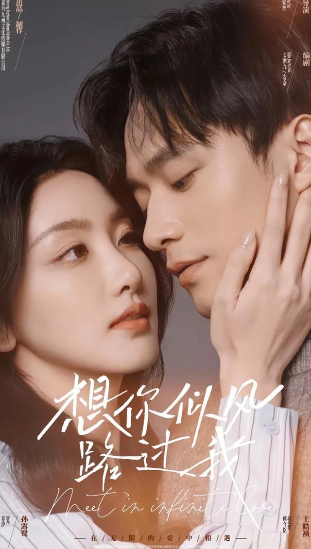 想你似风路过我剧照