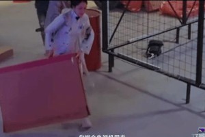迪丽热巴开推3造型惊艳？实力魅力双爆表