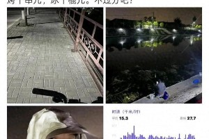 张晚意：顶流演员的B面人生与真实演技