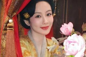 杨紫工作室：流量与演技并重的文化使者