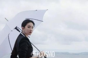刘亦菲热巴等明星鼻梁解析：高鼻梁如何提升颜值