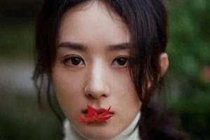 精美图片展示：自然与城市风光