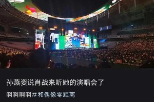 孙燕姿演唱会肖战现身，顶流追星现场感人互动