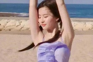 精彩图片集锦：204009至204006系列展示