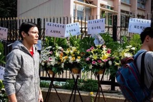 向佐长相评价：爱国行动胜过颜值争议