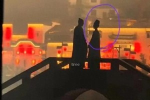 杨紫《家业》路透曝光，天鹅颈引南孚电池梗爆笑