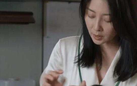 殷桃家庭主妇剧照