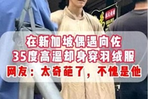 向佐新加坡活动穿猪大肠装引争议，国际形象受损